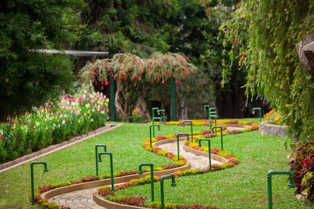 La Grande Villa Nuwara Eliya Exteriör bild